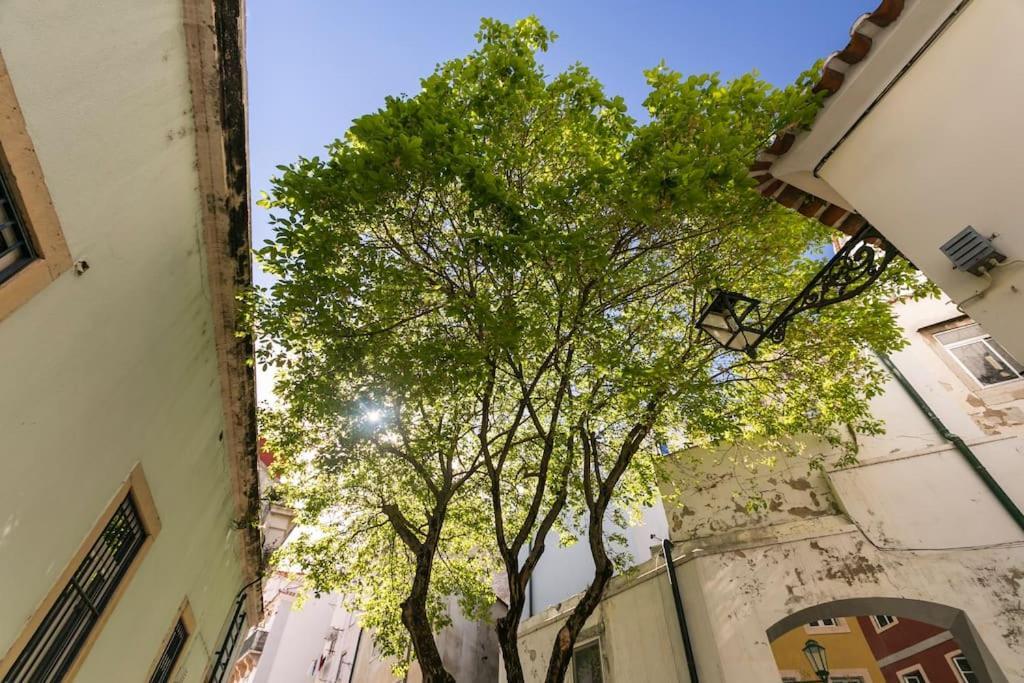 1e Brand New Right In The Heart Of Alfama Apartamento Lisboa